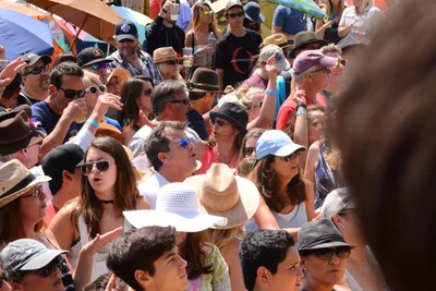 DSC_2055 (Large).JPG